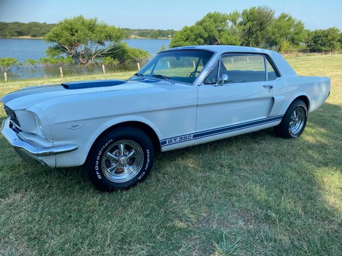Unknown-Mustang-1966-WhiteBlue-Stripes-BlueWhite-pony-3