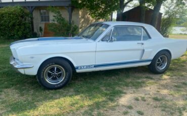 Unknown-Mustang-1966-WhiteBlue-Stripes-BlueWhite-pony-4