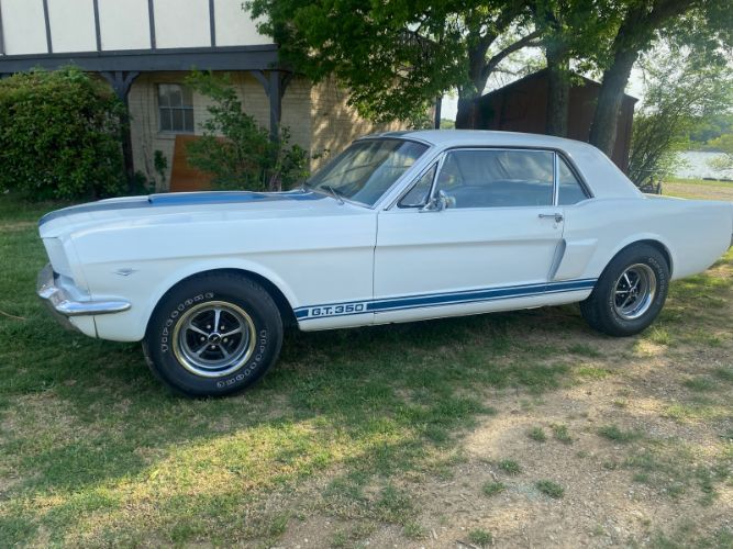 Unknown-Mustang-1966-WhiteBlue-Stripes-BlueWhite-pony-4