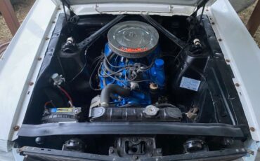 Unknown-Mustang-1966-WhiteBlue-Stripes-BlueWhite-pony-5