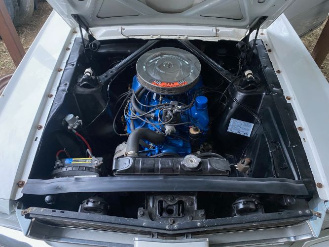 Unknown-Mustang-1966-WhiteBlue-Stripes-BlueWhite-pony-5