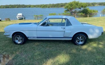 Unknown-Mustang-1966-WhiteBlue-Stripes-BlueWhite-pony-9