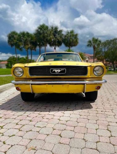 Unknown-Mustang-1966-Yellow-10