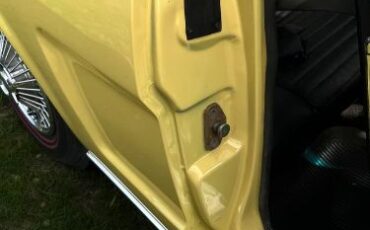 Unknown-Mustang-1966-Yellow-11