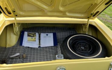 Unknown-Mustang-1966-Yellow-12