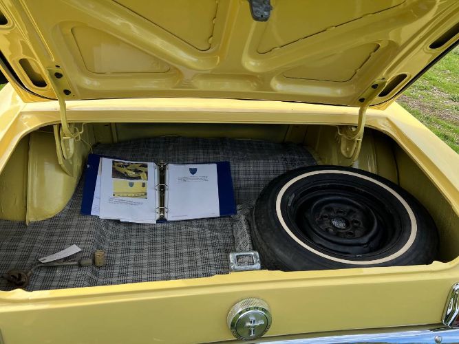 Unknown-Mustang-1966-Yellow-12