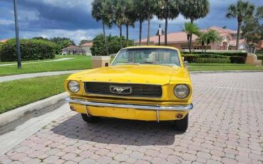 Unknown-Mustang-1966-Yellow-13