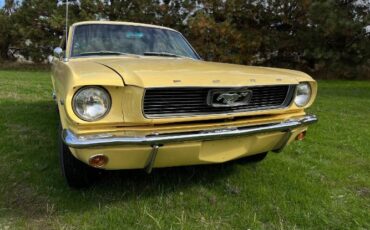 Unknown-Mustang-1966-Yellow-13