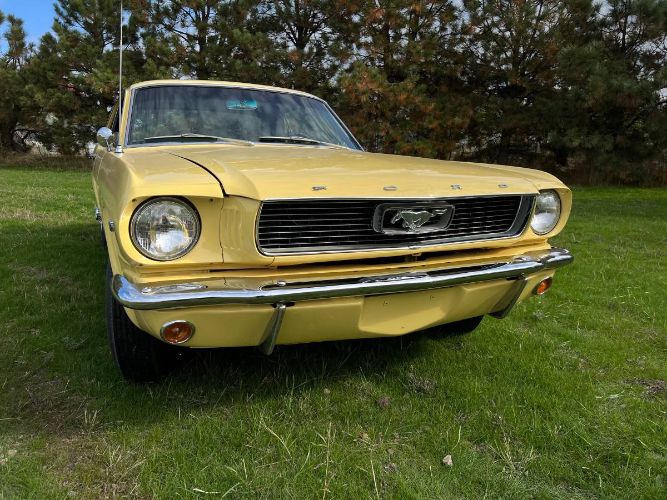 Unknown-Mustang-1966-Yellow-13