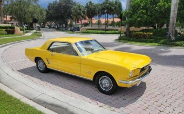 Unknown-Mustang-1966-Yellow-15