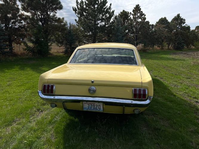 Unknown-Mustang-1966-Yellow-16