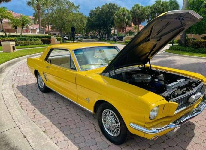 Unknown-Mustang-1966-Yellow-2