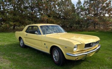 Unknown-Mustang-1966-Yellow-20