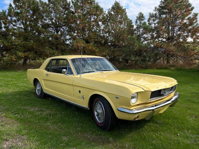 Unknown-Mustang-1966-Yellow-20