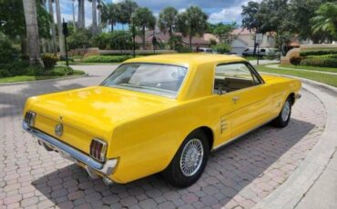 Unknown-Mustang-1966-Yellow-4