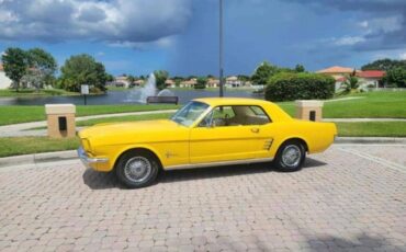 Unknown-Mustang-1966-Yellow-5