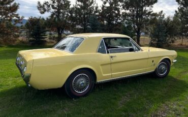 Unknown-Mustang-1966-Yellow-5