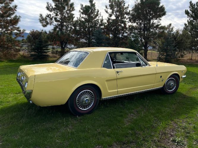 Unknown-Mustang-1966-Yellow-5