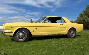 Unknown-Mustang-1966-Yellow-6