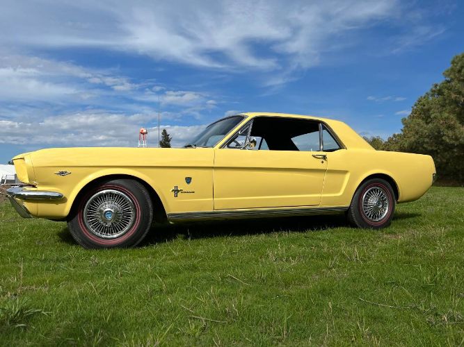 Unknown-Mustang-1966-Yellow-6