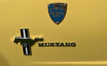 Unknown-Mustang-1966-Yellow-7