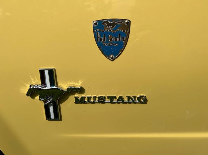 Unknown-Mustang-1966-Yellow-7