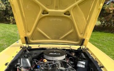 Unknown-Mustang-1966-Yellow-9