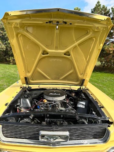 Unknown-Mustang-1966-Yellow-9