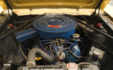 Unknown-Mustang-1966-Yellow-Black-1