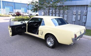 Unknown-Mustang-1966-Yellow-Black-11