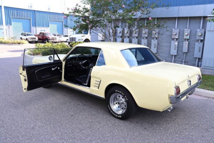 Unknown-Mustang-1966-Yellow-Black-11