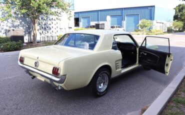 Unknown-Mustang-1966-Yellow-Black-15