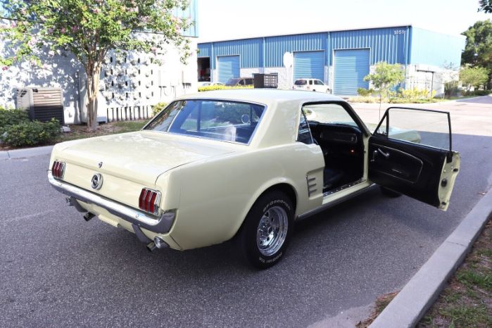 Unknown-Mustang-1966-Yellow-Black-15