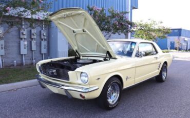 Unknown-Mustang-1966-Yellow-Black-19