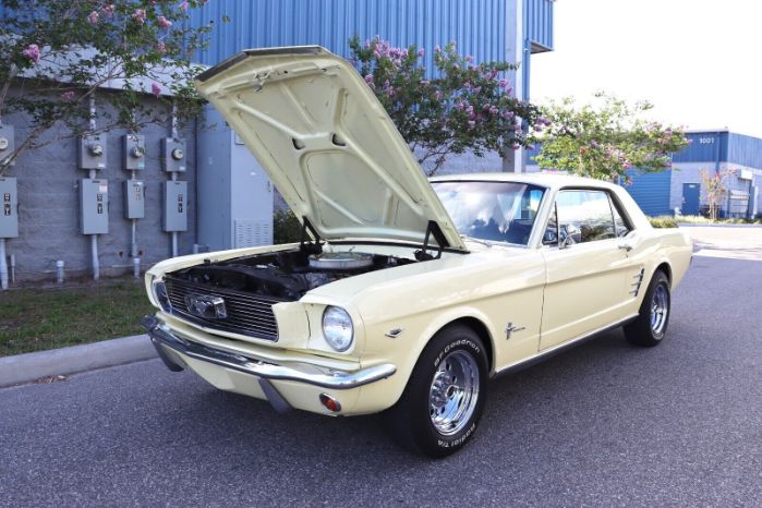 Unknown-Mustang-1966-Yellow-Black-19