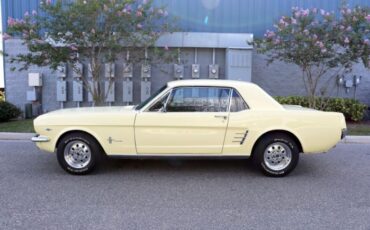 Unknown-Mustang-1966-Yellow-Black-2