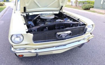 Unknown-Mustang-1966-Yellow-Black-20