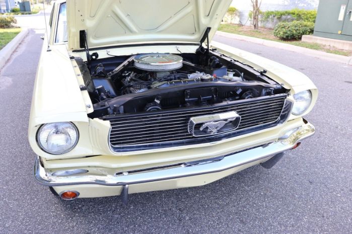 Unknown-Mustang-1966-Yellow-Black-20