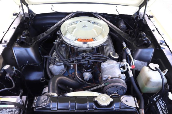 Unknown-Mustang-1966-Yellow-Black-22