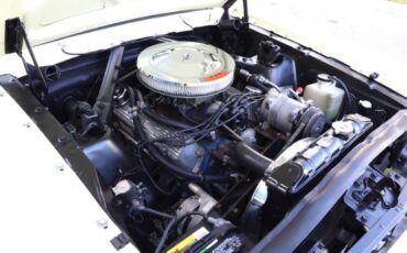 Unknown-Mustang-1966-Yellow-Black-23
