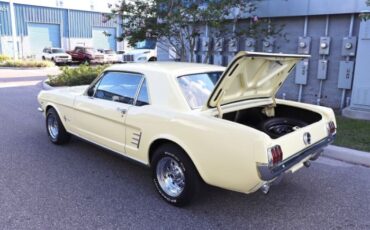 Unknown-Mustang-1966-Yellow-Black-24
