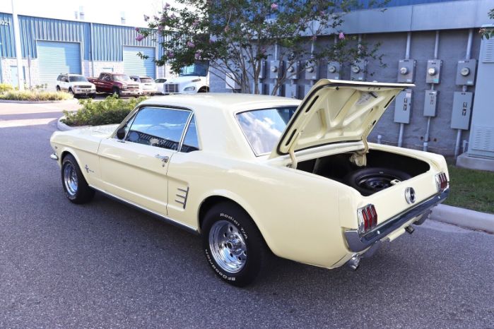 Unknown-Mustang-1966-Yellow-Black-24
