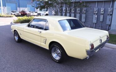 Unknown-Mustang-1966-Yellow-Black-3