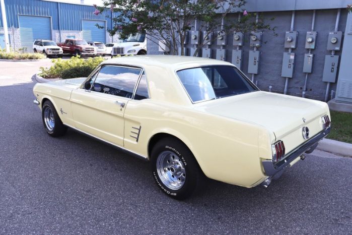 Unknown-Mustang-1966-Yellow-Black-3