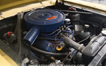 Unknown-Mustang-1966-Yellow-Black-37