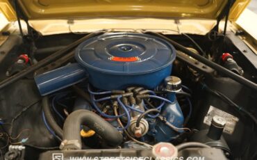 Unknown-Mustang-1966-Yellow-Black-38