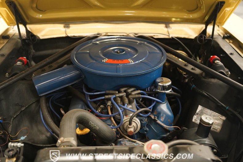 Unknown-Mustang-1966-Yellow-Black-38