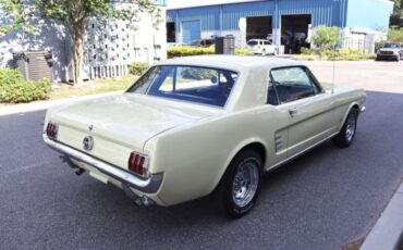 Unknown-Mustang-1966-Yellow-Black-4