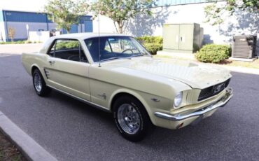 Unknown-Mustang-1966-Yellow-Black-5