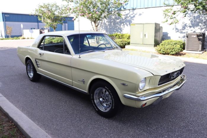 Unknown-Mustang-1966-Yellow-Black-5